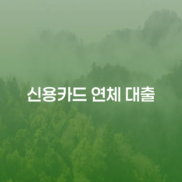 신용불량자취업 대출 연체 개인회생 경험 많은 곳에서