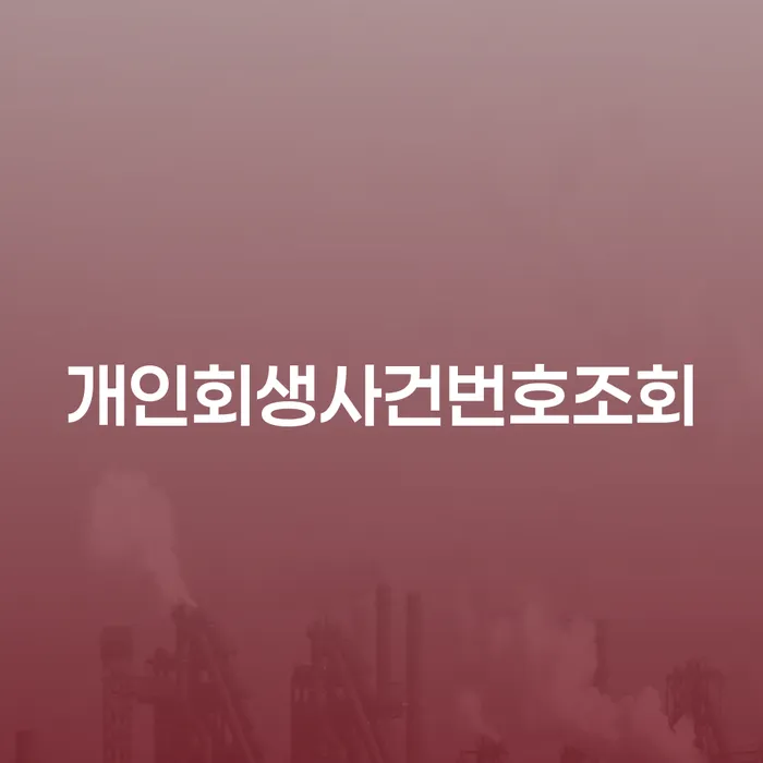 개인회생조회 카드빚 연체 핵심요약