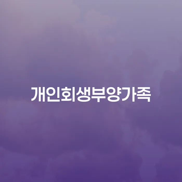 개인회생법원 개인회생 처리방법 전략은 이렇게