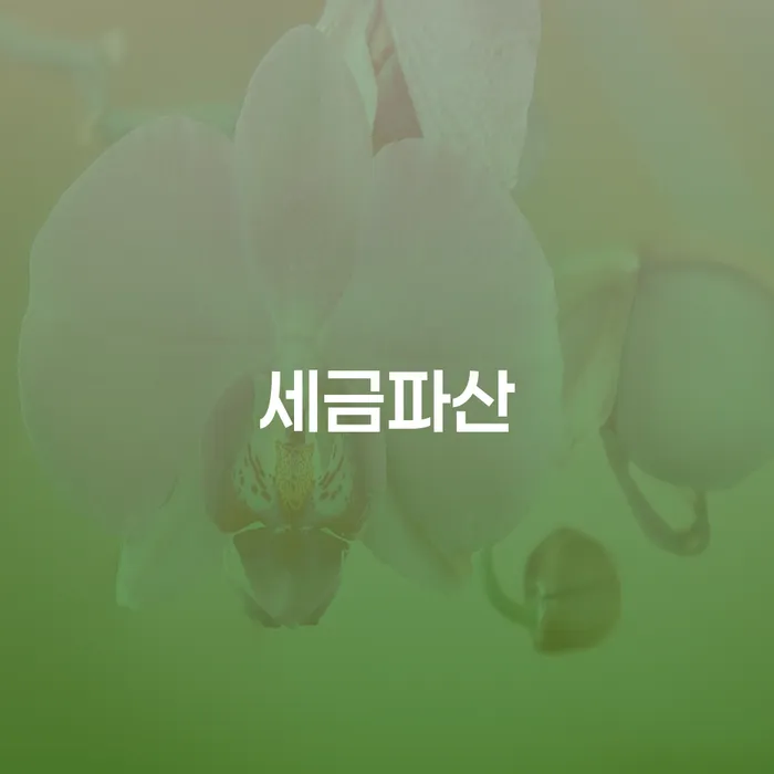 거창군 개인회생최저생계비 카드빚 연체 위험감소