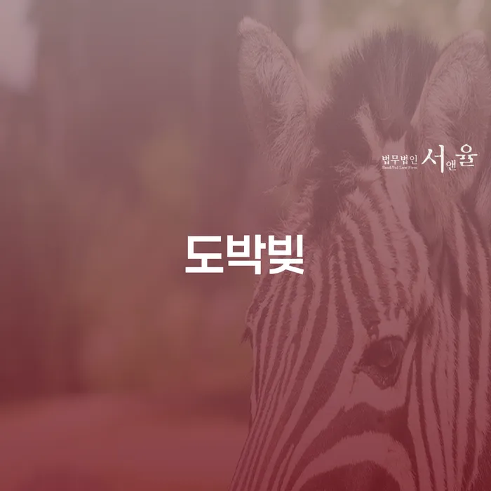 의정부시 신용카드 연체 5일 개인파산 판단을위해
