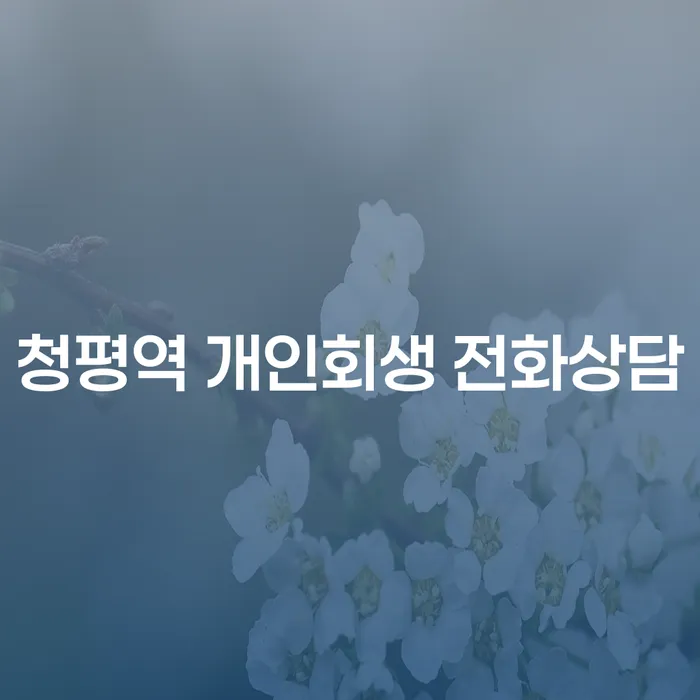 청평역 개인회생 전화상담