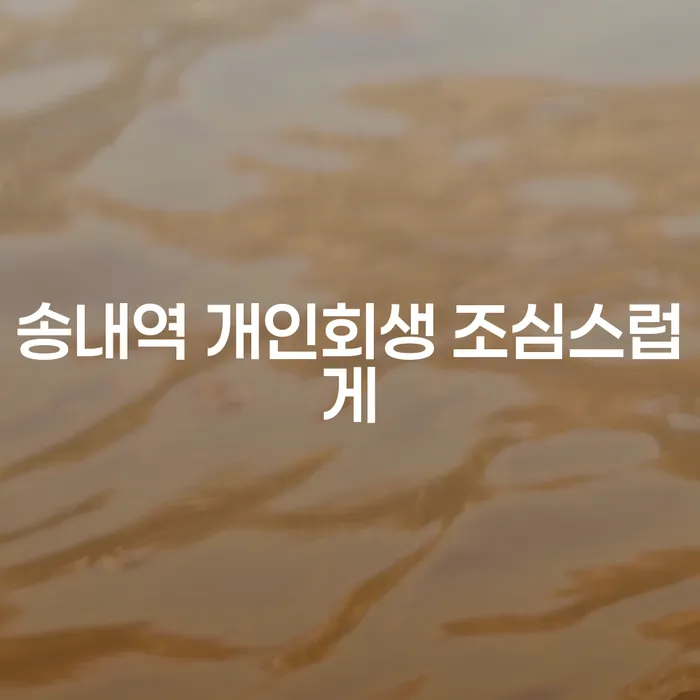송내역 개인회생 조심스럽게
