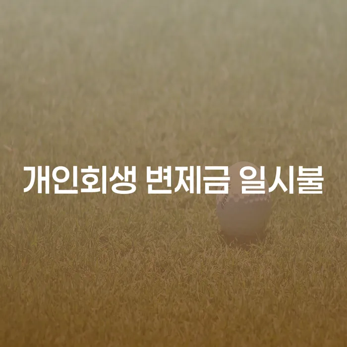 개인회생 변제금 일시불 가능할까? 주요 고려사항과 해결책