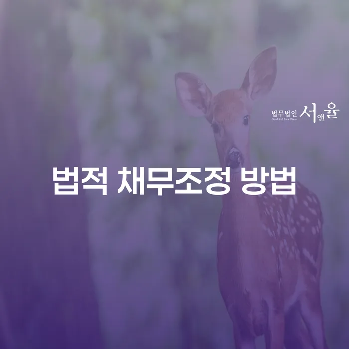 법적 채무조정 방법: 어떻게 선택할 것인가?